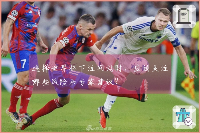 选择世界杯下注网站时，应该关注哪些风险和专家建议？