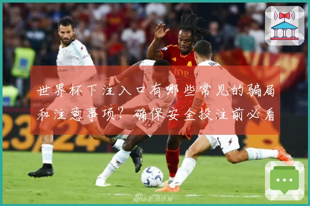 世界杯下注入口有哪些常见的骗局和注意事项？确保安全投注前必看指南
