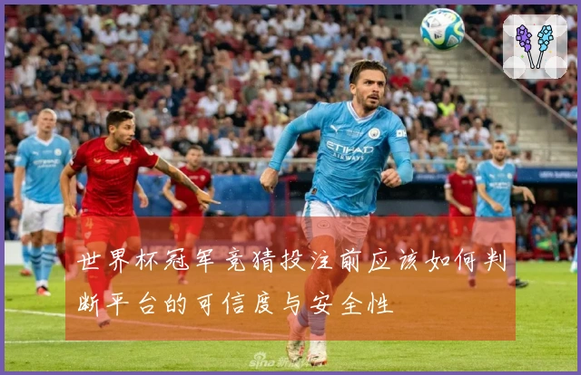 世界杯冠军竞猜投注前应该如何判断平台的可信度与安全性