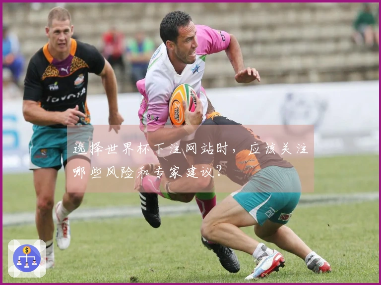 选择世界杯下注网站时，应该关注哪些风险和专家建议？